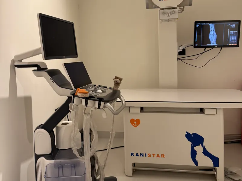 Ultrasound unit and X-ray room at the clinic